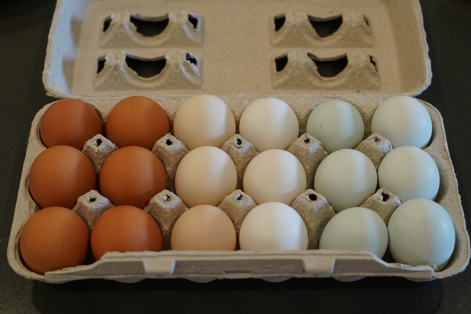 12-Count Egg Carton — Side View