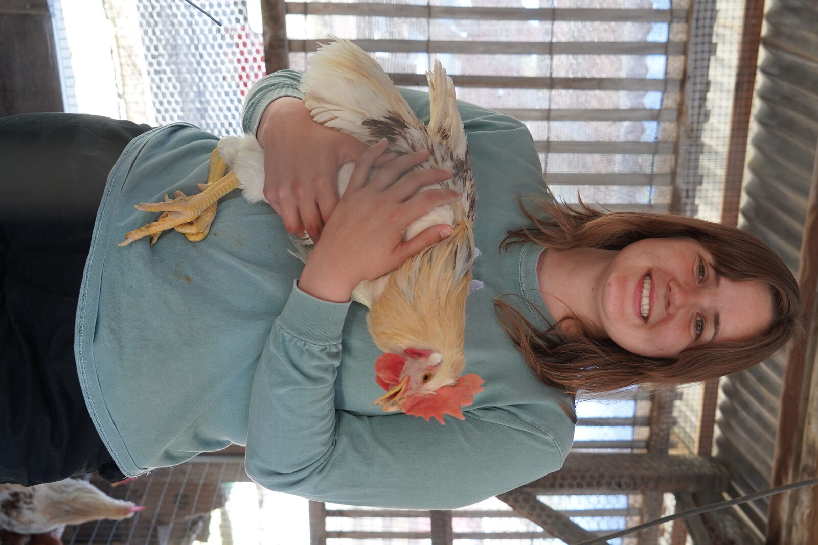 Nancy holding a rooster in the chicken coop