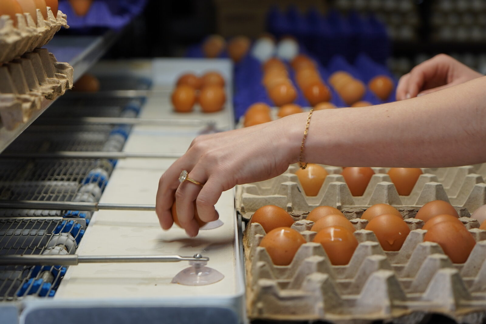 The egg cleaning machine