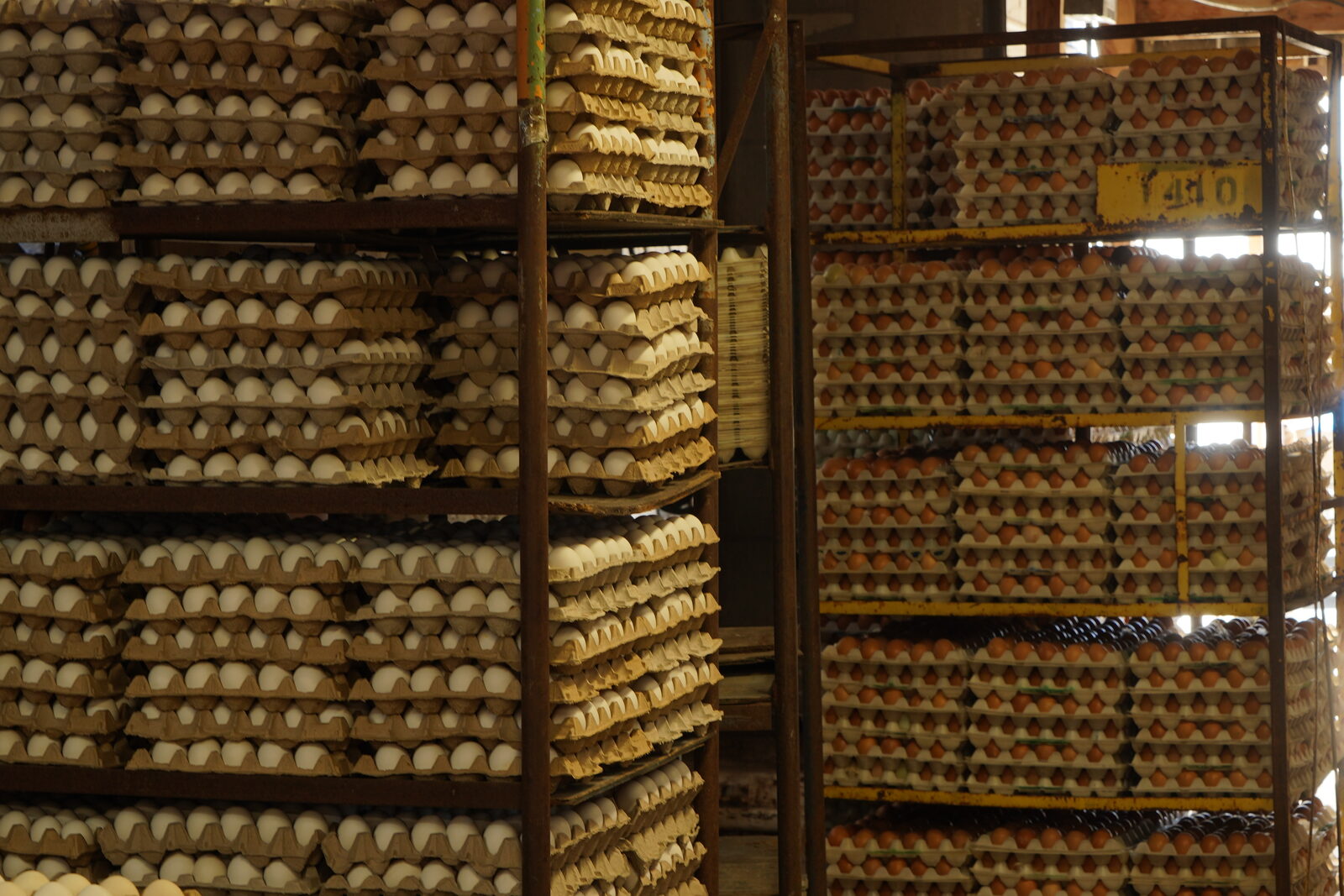 Shelves of egg cartons at The Ranch Egg Store